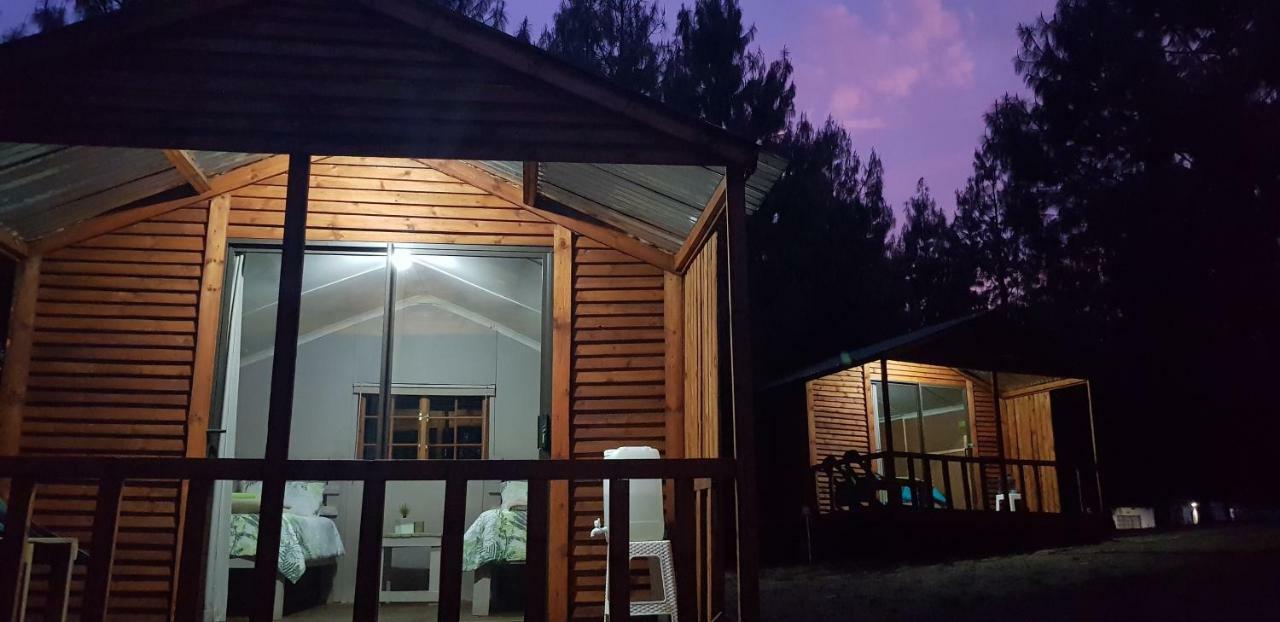 Forest Lodge