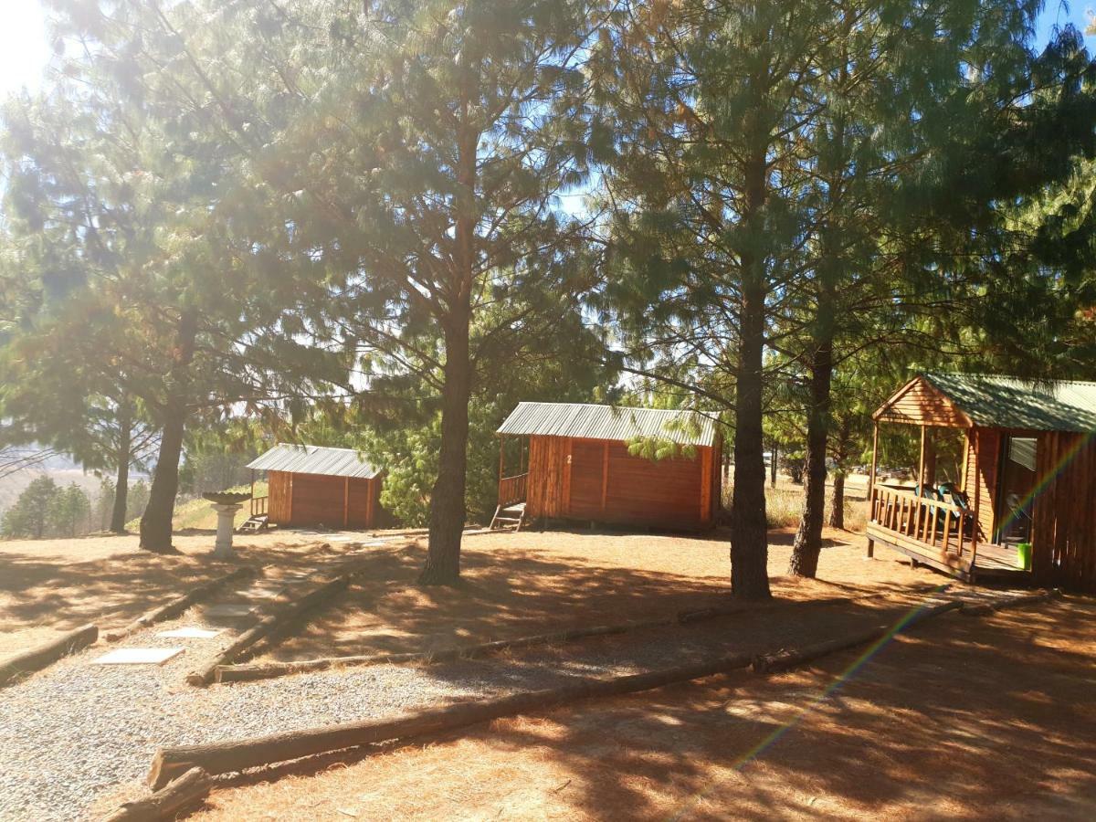 Lodge Forest *